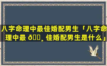 八字命理中最佳婚配男生「八字命理中最 🌸 佳婚配男生是什么」